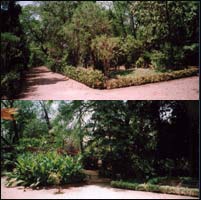 Landscape Garden
