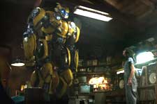 Bumblebee