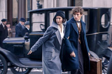 Fantastic Beasts And Where To Find Them