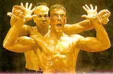 Kick Boxer