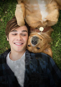 A Dogs Purpose (english) - cast, music, director, release date