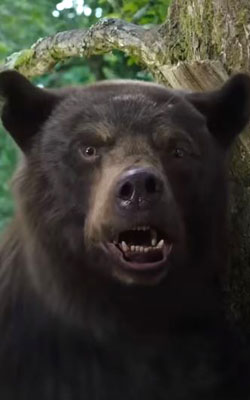 Cocaine Bear (english) reviews