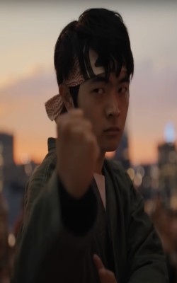 Karate Kid: Legends (english) reviews