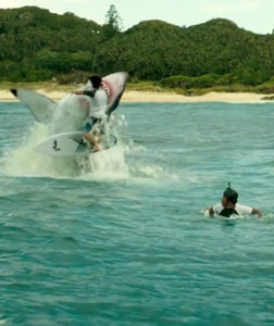 The Shallows (english) reviews