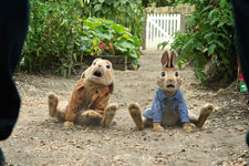 Peter Rabbit
