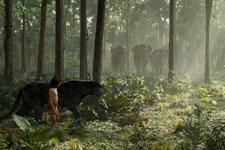 The Jungle Book