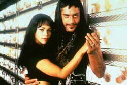 Wild Couple