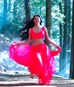 Barkhaa (hindi) - cast, music, director, release date