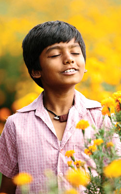 Halkaa (hindi) - show timings, theatres list