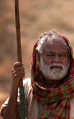 Kadvi Hawa (hindi) - show timings, theatres list
