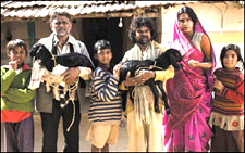 Peepli Live
