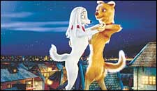 Roadside Romeo