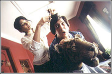Snip