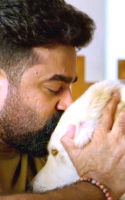 Valatty (malayalam) - cast, music, director, release date