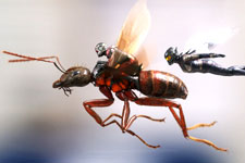Ant-Man And The Wasp (Telugu)