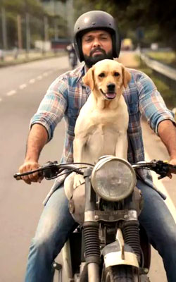 777 Charlie (Telugu) (telugu) - cast, music, director, release date