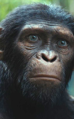 Kingdom of the Planet of the Apes (Telugu) (telugu) - cast, music, director, release date