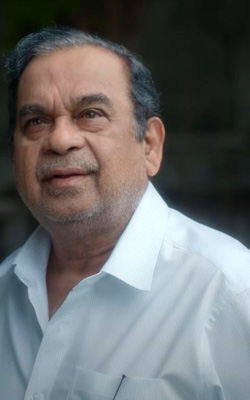 Brahma Anandam (telugu) - cast, music, director, release date