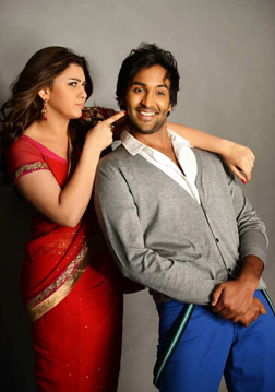 Denikaina Ready (telugu) reviews