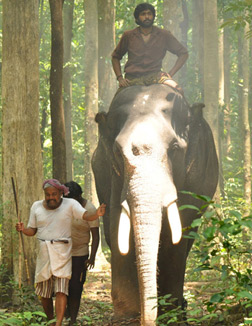 Kumki (Tamil) (tamil) - show timings, theatres list