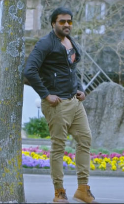 Krishnashtami (telugu) - cast, music, director, release date
