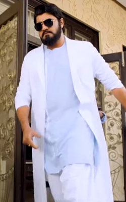 Marshal (telugu) - cast, music, director, release date